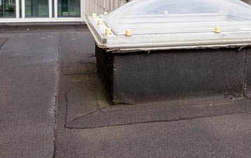 disadvantages of Asgarby flat roofs